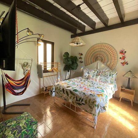 The Garden Apartment, The Willow Apartment, & The Tropical Apartment At Casa Of Essence In Old San Juan Esterno foto