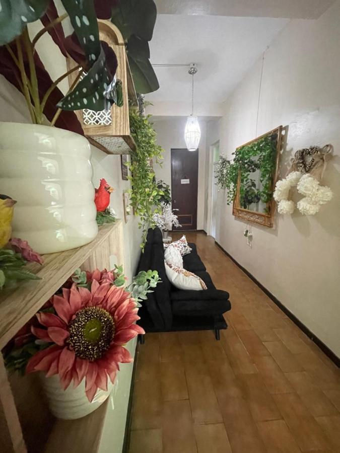 The Garden Apartment, The Willow Apartment, & The Tropical Apartment At Casa Of Essence In Old San Juan Esterno foto