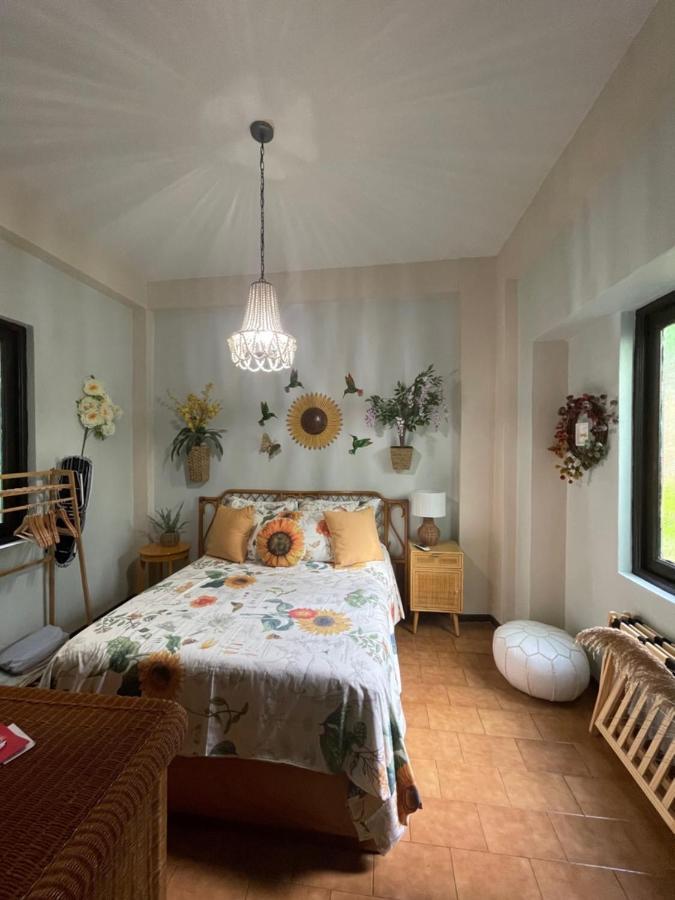 The Garden Apartment, The Willow Apartment, & The Tropical Apartment At Casa Of Essence In Old San Juan Esterno foto