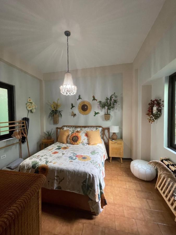 The Garden Apartment, The Willow Apartment, & The Tropical Apartment At Casa Of Essence In Old San Juan Esterno foto