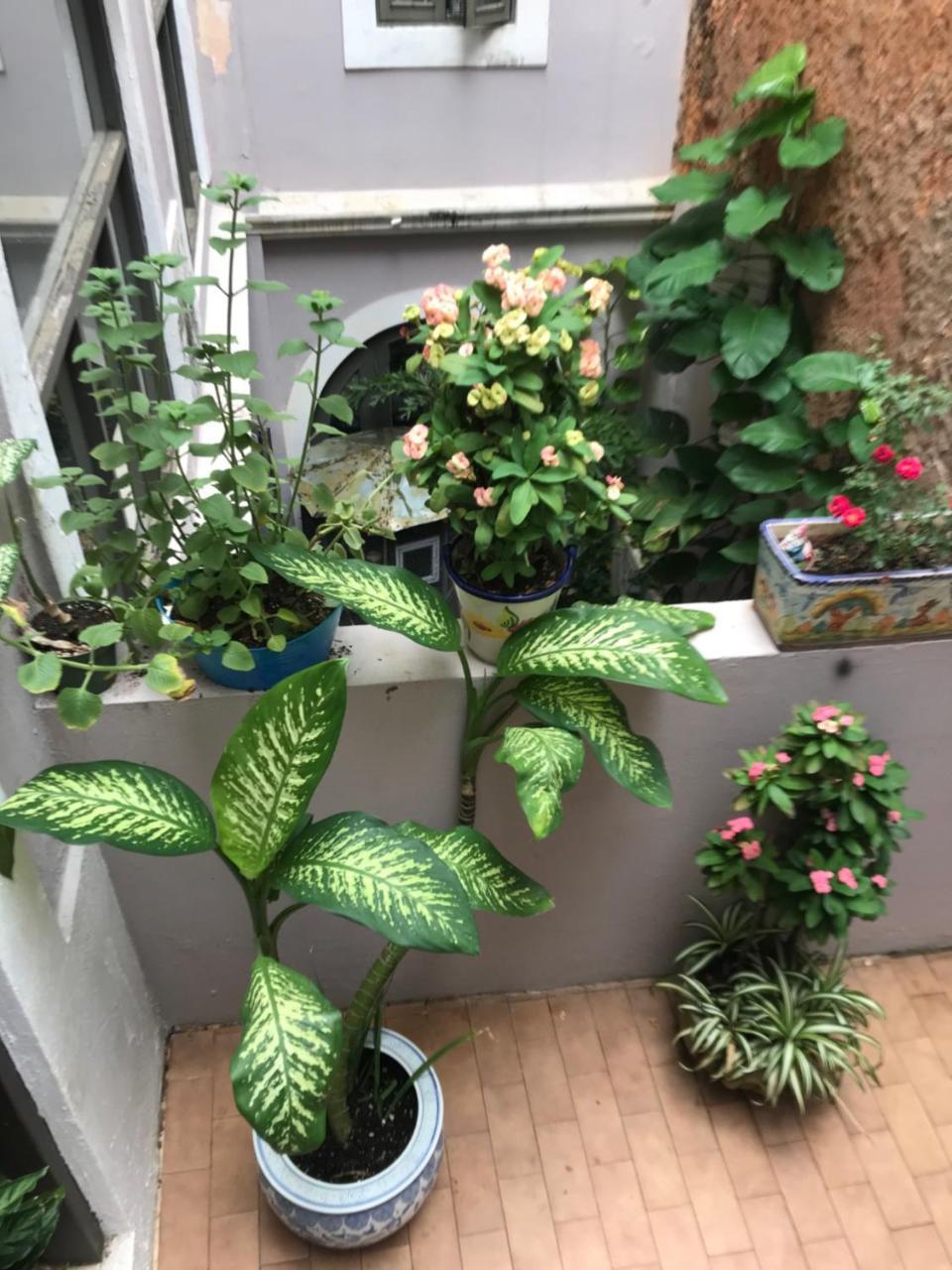 The Garden Apartment, The Willow Apartment, & The Tropical Apartment At Casa Of Essence In Old San Juan Esterno foto