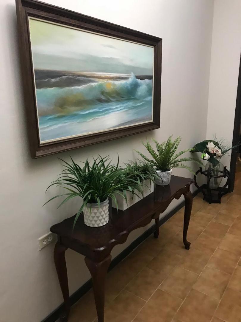 The Garden Apartment, The Willow Apartment, & The Tropical Apartment At Casa Of Essence In Old San Juan Esterno foto